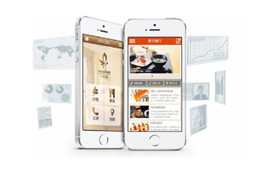 天津APP開發定制與模板的比較